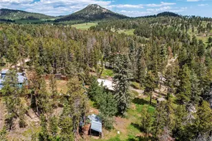 10893 Milliken Ave, Conifer, CO 80433 - Photo 44