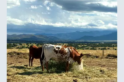 8650 State Highway 67, Florence, CO 81226 - Photo 2