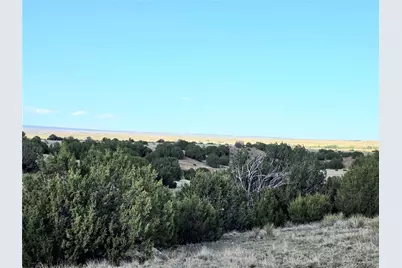 8650 State Highway 67, Florence, CO 81226 - Photo 42