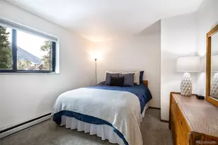 315 S 2nd Ave, Frisco, CO 80443 - Photo 12