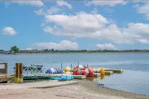 381 Buffalo Dr, Windsor, CO 80550 - Photo 32