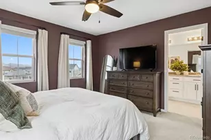 9152 Rio Blanco St, Littleton, CO 80125 - Photo 28