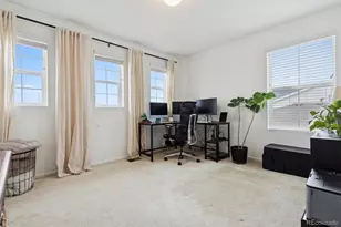 9152 Rio Blanco St, Littleton, CO 80125 - Photo 32