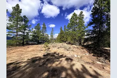 10007 Ross Drive, Twin Lakes, CO 81251 - Photo 10