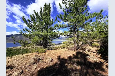 10007 Ross Drive, Twin Lakes, CO 81251 - Photo 8