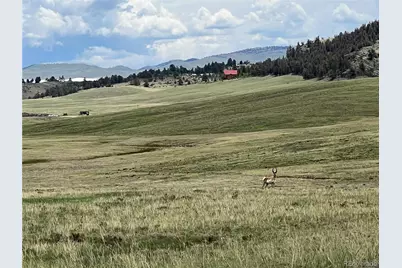 04 Ranch Road, Hartsel, CO 80449 - Photo 2