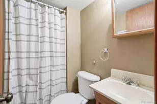 8362 Sunnyside Pl, Highlands Ranch, CO 80126 - Photo 44