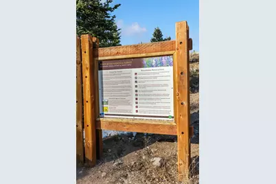 91100 Ryan Gulch Road #91122, Silverthorne, CO 80498 - Photo 40