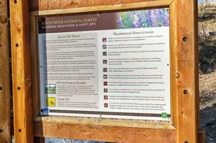 91100 Ryan Gulch Rd, Silverthorne, CO 80498 - Photo 40