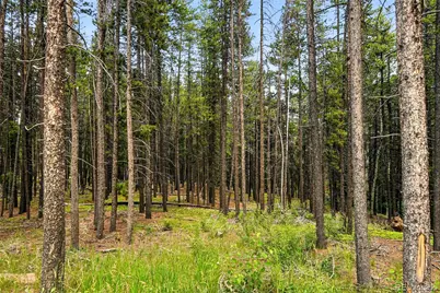 Aspen Way, Evergreen, CO 80439 - Photo 2