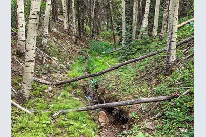 Aspen Way, Evergreen, CO 80439 - Photo 20