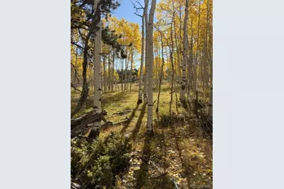 417 Aspen Way Drive, Florissant, CO 80816 - Photo 12