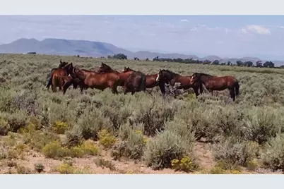 Lot 118 Charro Ln, San Luis, CO 81152 - Photo 8