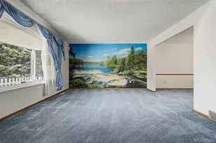 4204 E 114th Way, Thornton, CO 80233 - Photo 6