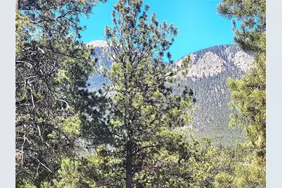 116 Neal Street, Bailey, CO 80421 - Photo 1