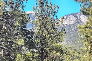 116 Neal St, Bailey, CO 80421 - Photo 1