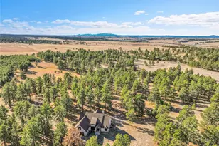 4980 Black Fox Cir, Elizabeth, CO 80107 - Photo 46