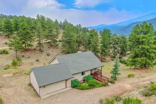 122 W Cline Dr, Shawnee, CO 80475 - Photo 44