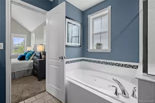 3384 Wabash St, Denver, CO 80238 - Photo 28