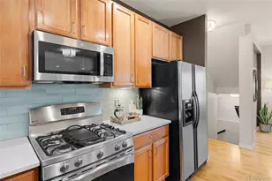 3384 Wabash St, Denver, CO 80238 - Photo 14