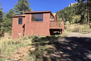 26130 Edelweiss Cir, Evergreen, CO 80439 - Photo 14