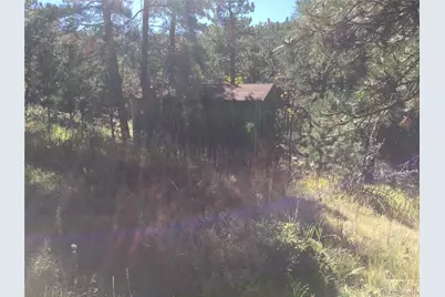 26130 Edelweiss Circle, Evergreen, CO 80439 - Photo 28