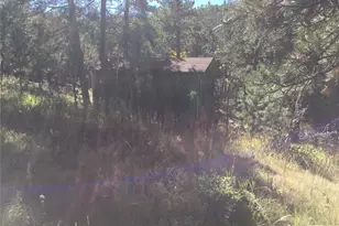 26130 Edelweiss Cir, Evergreen, CO 80439 - Photo 28