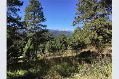 26130 Edelweiss Circle, Evergreen, CO 80439 - Photo 34