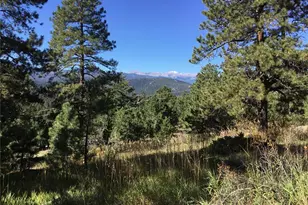 26130 Edelweiss Cir, Evergreen, CO 80439 - Photo 34