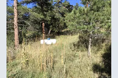 26130 Edelweiss Circle, Evergreen, CO 80439 - Photo 30