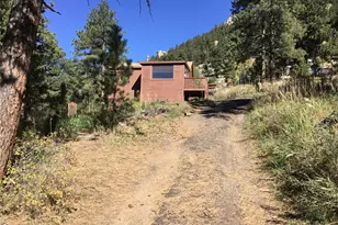 26130 Edelweiss Cir, Evergreen, CO 80439 - Photo 10