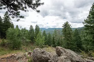 6997 Skunk Alley, Evergreen, CO 80439 - Photo 6