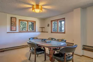 6997 Skunk Alley, Evergreen, CO 80439 - Photo 36