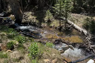 4568 Apex Valley Rd, Black Hawk, CO 80422 - Photo 6