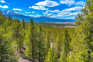 198 Mt Elbert Rd, Twin Lakes, CO 81251 - Photo 1