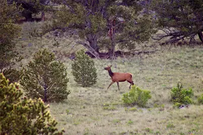 Highway 9, Guffey, CO 80820 - Photo 14