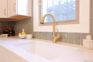 1544 N Downing St, Denver, CO 80218 - Photo 16