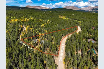 37 Briscoe Court, Alma, CO 80420 - Photo 46