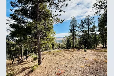 13948 Boulder Lane, Larkspur, CO 80118 - Photo 1