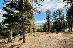 13948 Boulder Ln, Larkspur, CO 80118 - Photo 1