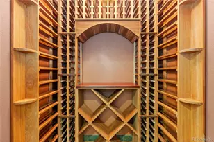 9565 Silent Hills Ln, Lone Tree, CO 80124 - Photo 34