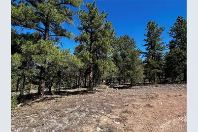 960 Oak Drive, Westcliffe, CO 81252 - Photo 4