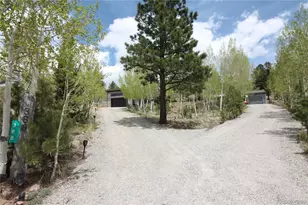388 Clark Rd, Bailey, CO 80421 - Photo 4