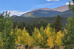 388 Clark Rd, Bailey, CO 80421 - Photo 42