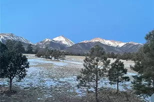 13940 County Rd 261F, Nathrop, CO 81236 - Photo 4