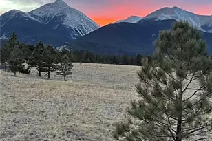 13940 County Rd 261F, Nathrop, CO 81236 - Photo 6