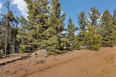 191 Nuaku, Florissant, CO 80816 - Photo 2