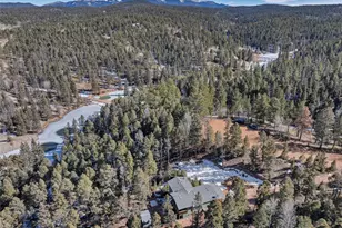 191 Nuaku, Florissant, CO 80816 - Photo 46