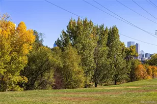 1181 Lowell Ave, Denver, CO 80204 - Photo 18