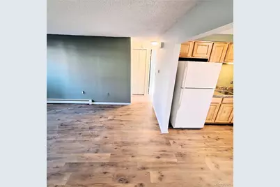 1065 Magnolia Street, Colorado Springs, CO 80907 - Photo 8